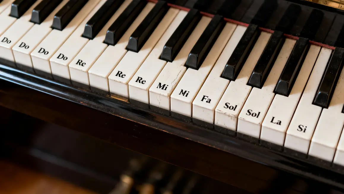 Clavier piano vues touches blanches noires notes